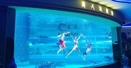 해양 수족관 프로젝트.
